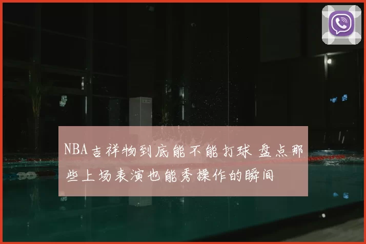 NBA吉祥物到底能不能打球 盘点那些上场表演也能秀操作的瞬间